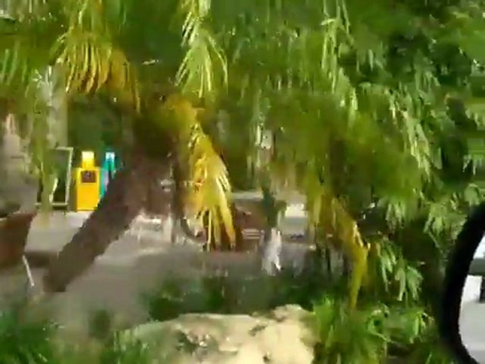 Seagrove Neighborhood Tour (Anastasia Island, St Augustine)