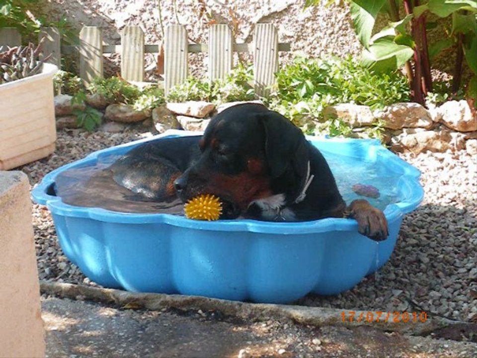 ARES DANS TOUS SES ETATS_0002