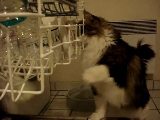 Pendant que môman vide le lave vaisselle