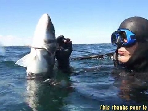 Vidéo-004 Chasse sous marine en Normandie avec Christian ANDRE1