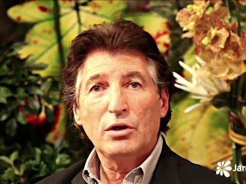 Les fleurs artificielles