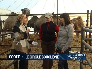 Grand Angle - Jeudi 10 novembre