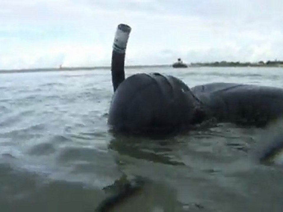 Vidéo-005 Chasse sous marine avec Titou