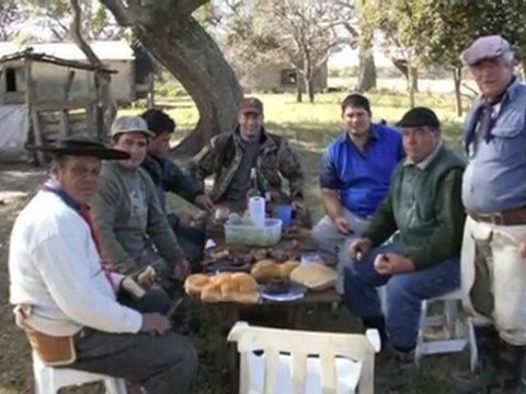 chasse argentine canards