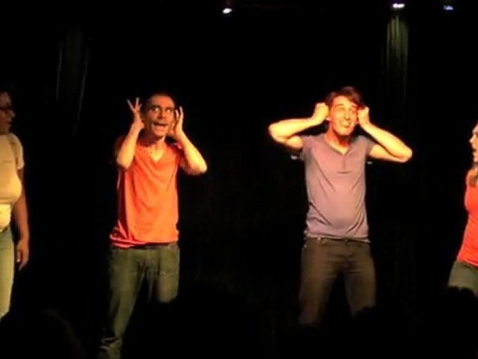 Les Colocataires -troupe d'impro- (clip vidéo)