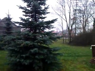 Pierwszy śnieg :)