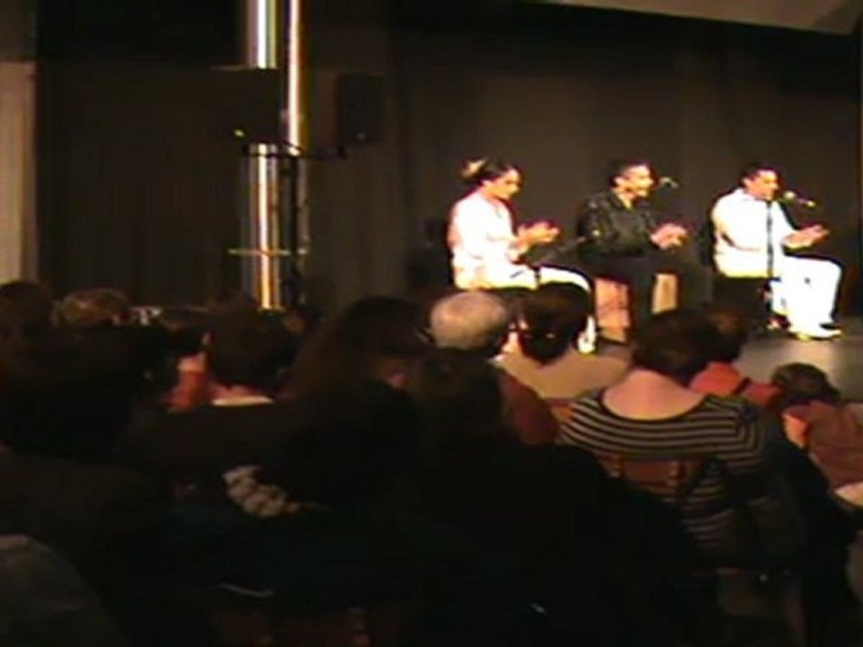 Concert Meneito Flamenco à Caen (2011) - Nuit des Cultures - baile por Soleá