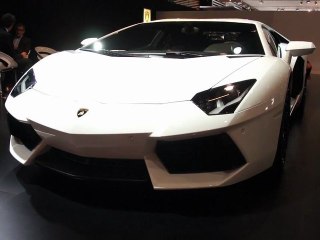 Salon Automobile International de Lyon 2011