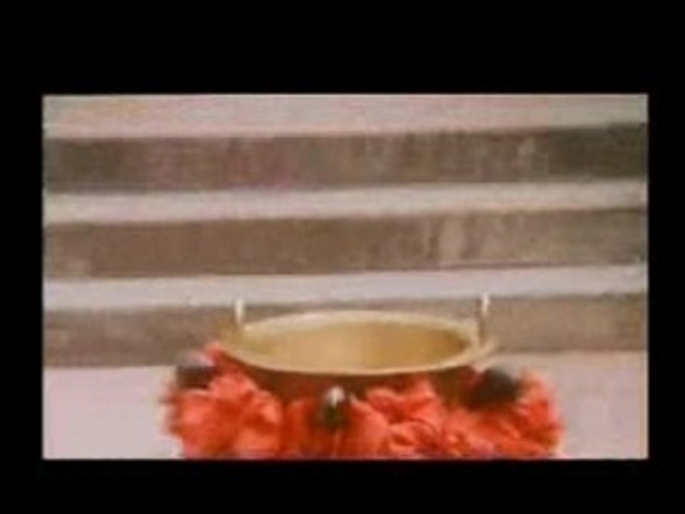 Joe la mouk(parodie de Tai Chi 2)