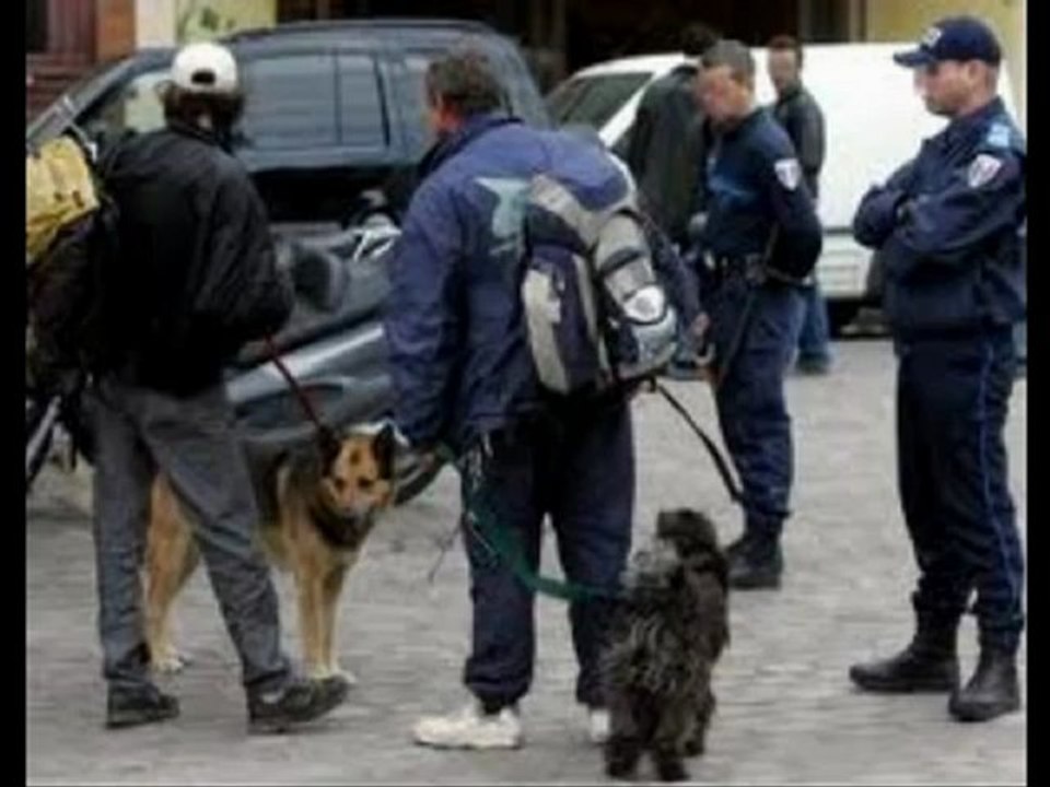 Sonny Starck ... "  Ce n est plus ma France  "