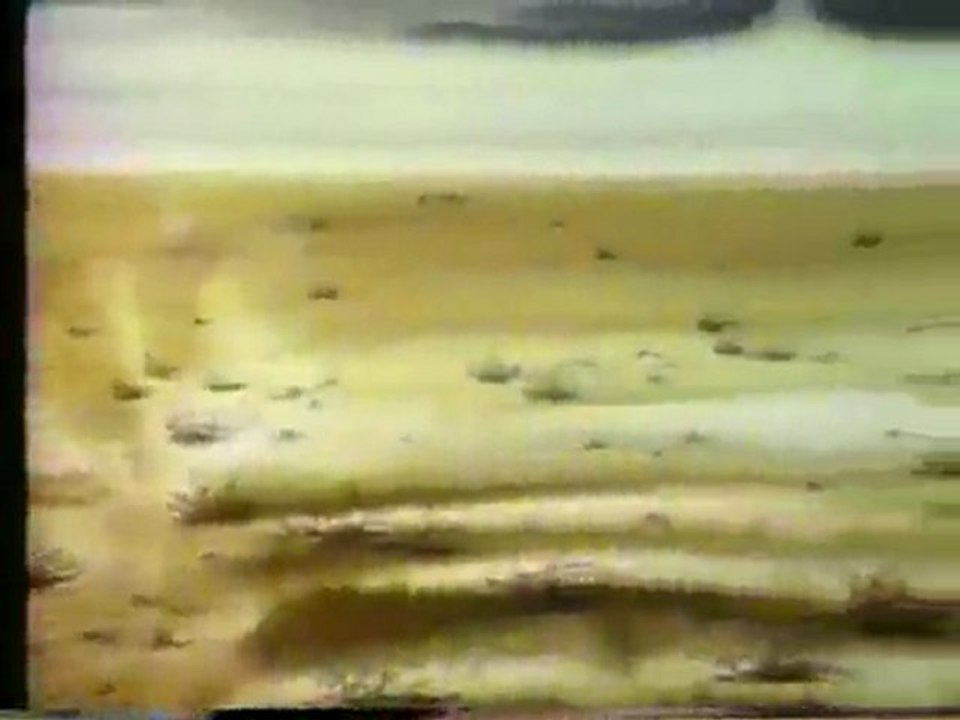 (DVD15) (09) CUIDA EL PAISAJE, CAMPAÑA