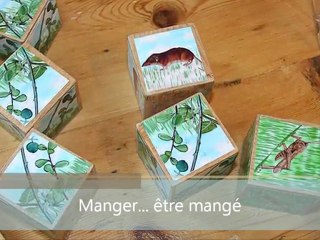 "Le Muséum chez vous". Journée portes-ouvertes