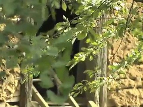 Tourisme en Normandie, à l'Eure des jardins