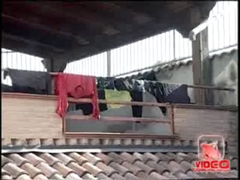 San Cipriano d'Aversa (CE) - Arsenale dei Casalesi in casa di un insospettabile muratore