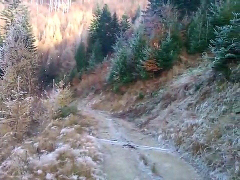 WP_20111116_131940Z