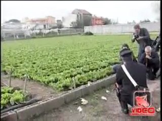 Santa Maria la Carità (NA) - Omicidio Cannavacciuolo, fermati 2 sospetti