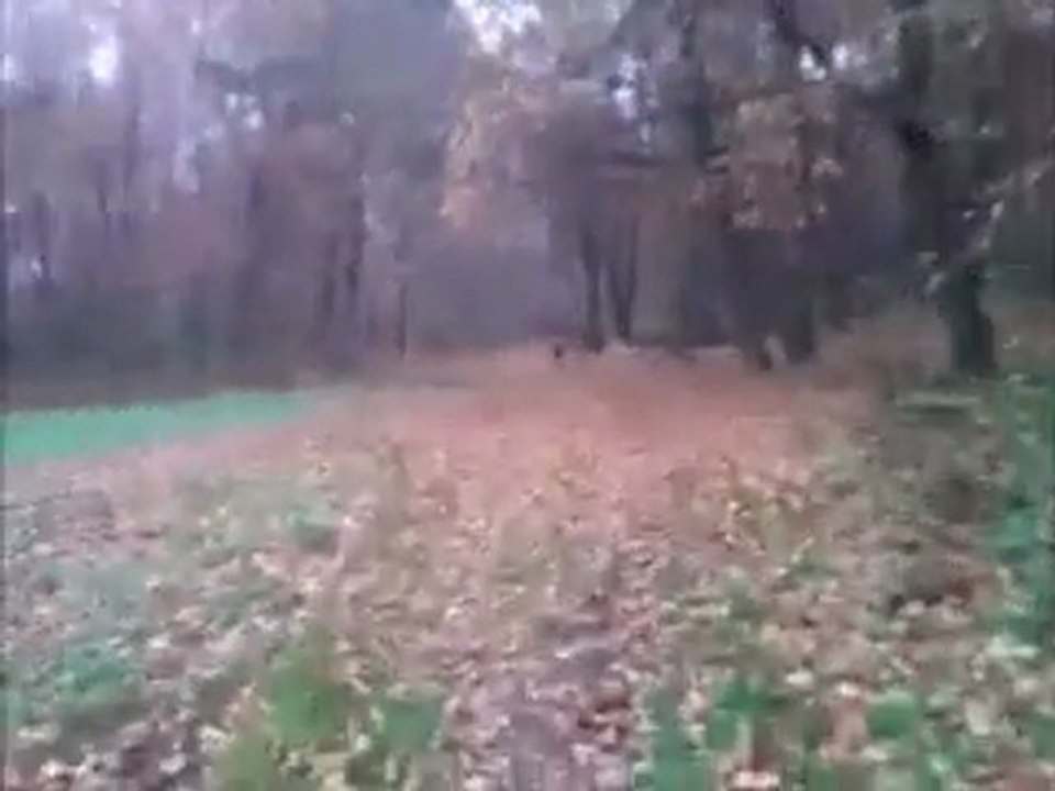 1.wmv