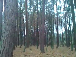 Lasy Chotyłowskie cz1