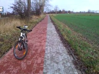 Plantacja wiatrowa we wsi Wiślina (południe Gdańska)