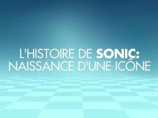 20e ANNIVERSAIRE DE SONIC - La naissance de Sonic