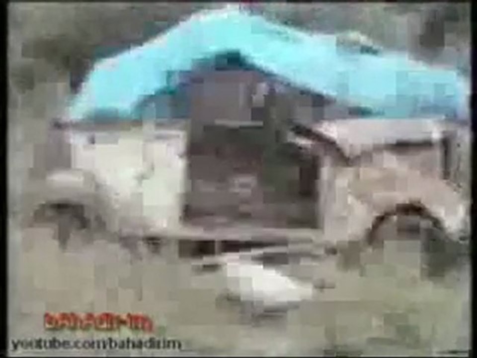 DOSTUM ACIKTI... KEDİLER