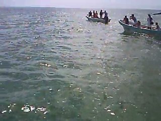 mercredi  9 janvier sian kaan