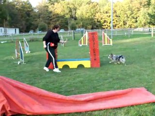 Dove entrainement club