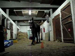 11.11 jeu d'int dl et reculer