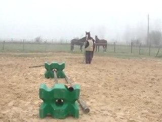 16.11.2011.ze.saut.paprika