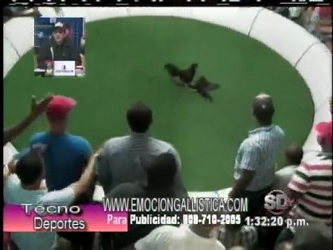 2da Parte Resumen Gallístico Programa TECNODEPORTES Viernes 11-Noviembre-2011 por Manuel Perelló