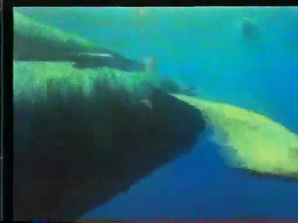 (DVD15) (08) EL MAR, COMO ES