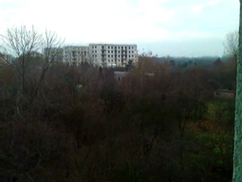 Listopadowy widok z okna