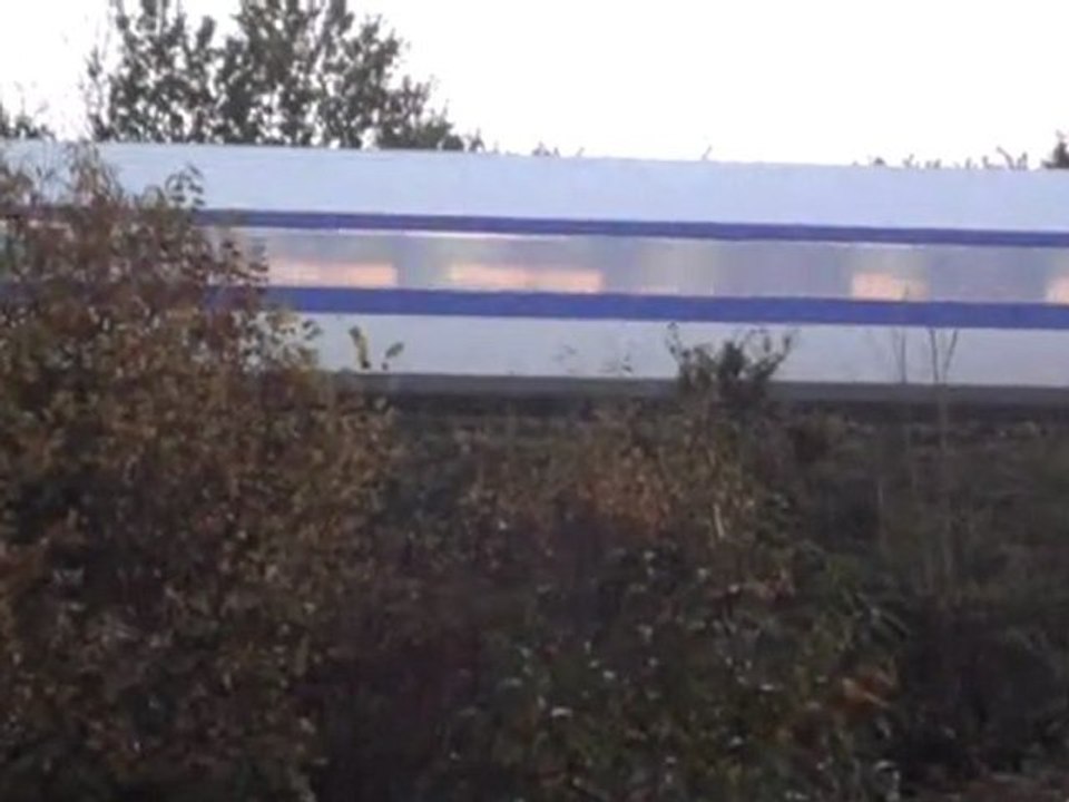 TGV dans les arbres