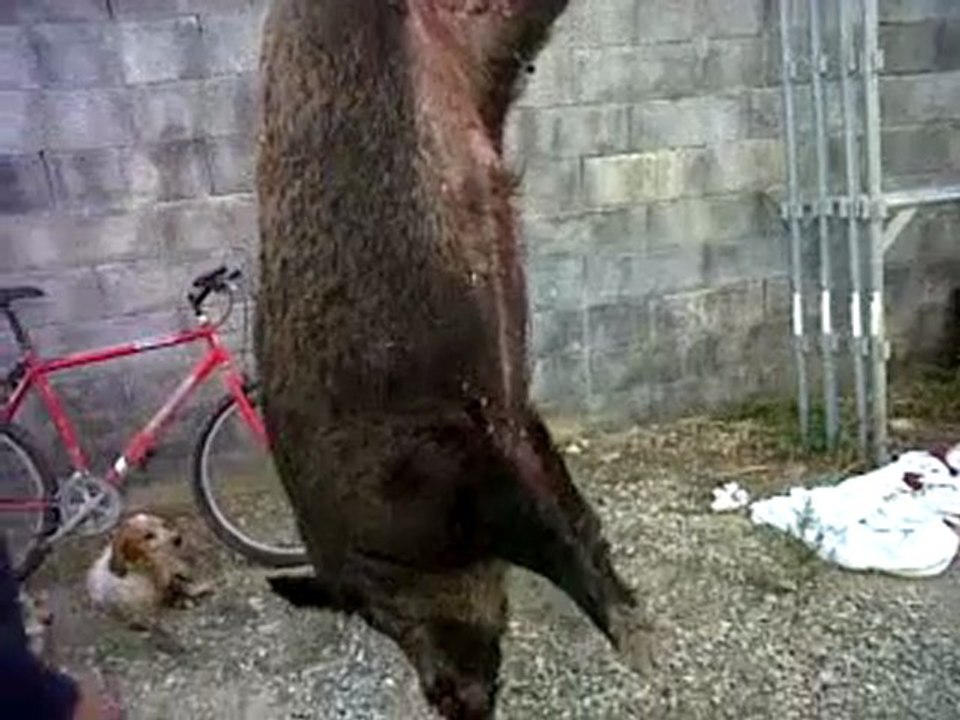 VID 00000-20111009-1827