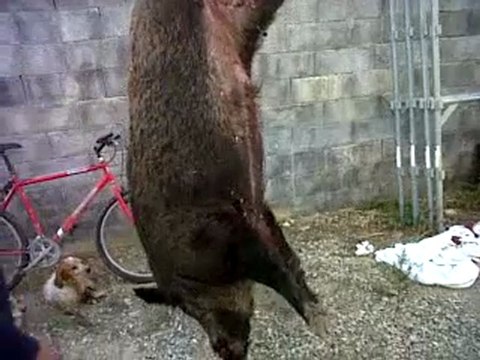 VID 00000-20111009-1827