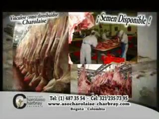 1_MIERCOLES 16 NOVIEMBRE 2011 el cigarral