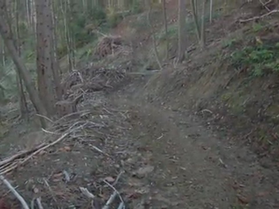 mort d un radiateur en direct