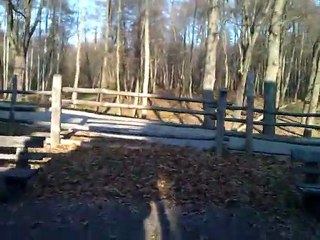 Tężnie cd - widok od środka