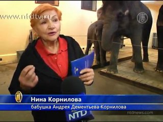 Дрессировщик знает, как говорить со слонами