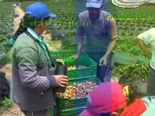 3_MIERCOLES 16 NOVIEMBRE 2011 el cigarral