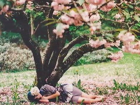 Os Verdes Campos Da Minha Terra-Carmen Silva