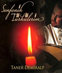 Taner Demiralp - Aygız