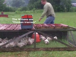 The Chicken Economy (Farmers Film Webisode 7)