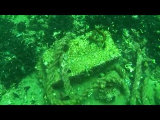 PULIZIA DEI FONDALI IN SACCHETTA