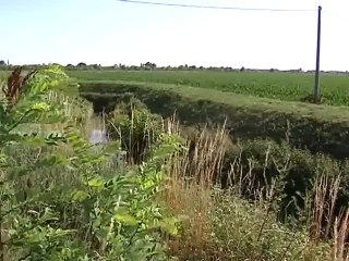 "UCCISO PER UNA  RAPINA"