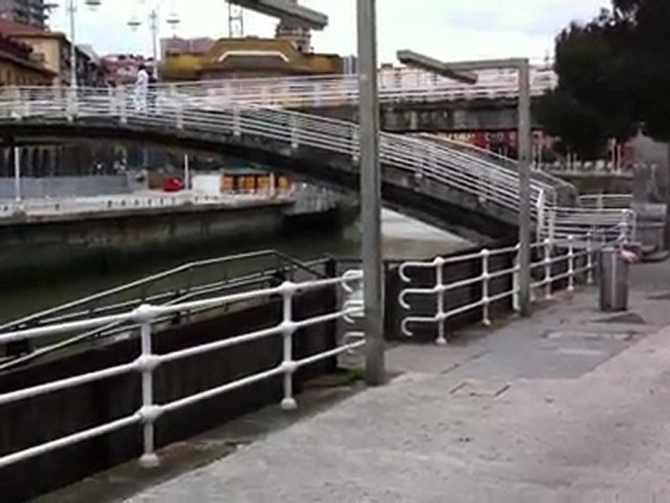muelle de la marzana