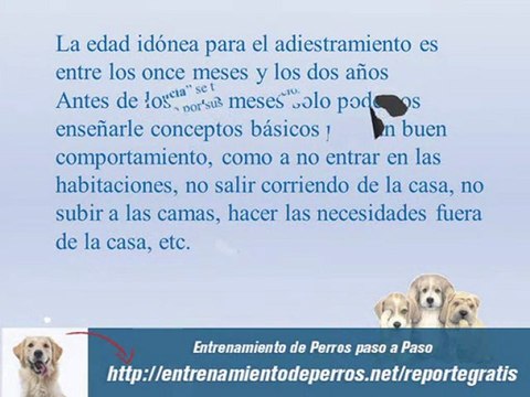 Manual de Adiestramiento Canino: Guia para Adiestrar Perros