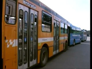 FIRME CONTRO LA PROVINCIA