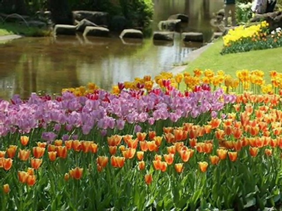 Beautiful Headline News ↝ TBNYD13