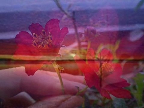 Zeki Müren ♫ Ah Bu Şarkıların Gözü Kör Olsun + Son Bir DEFA